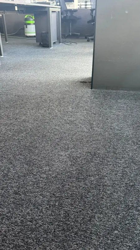 Carpete corporativo higienizado